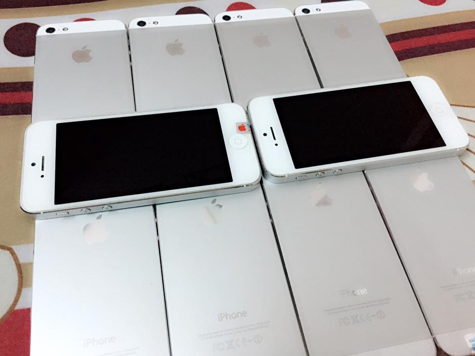 10256370_1468380950143721_2927263096733726150_n.jpg