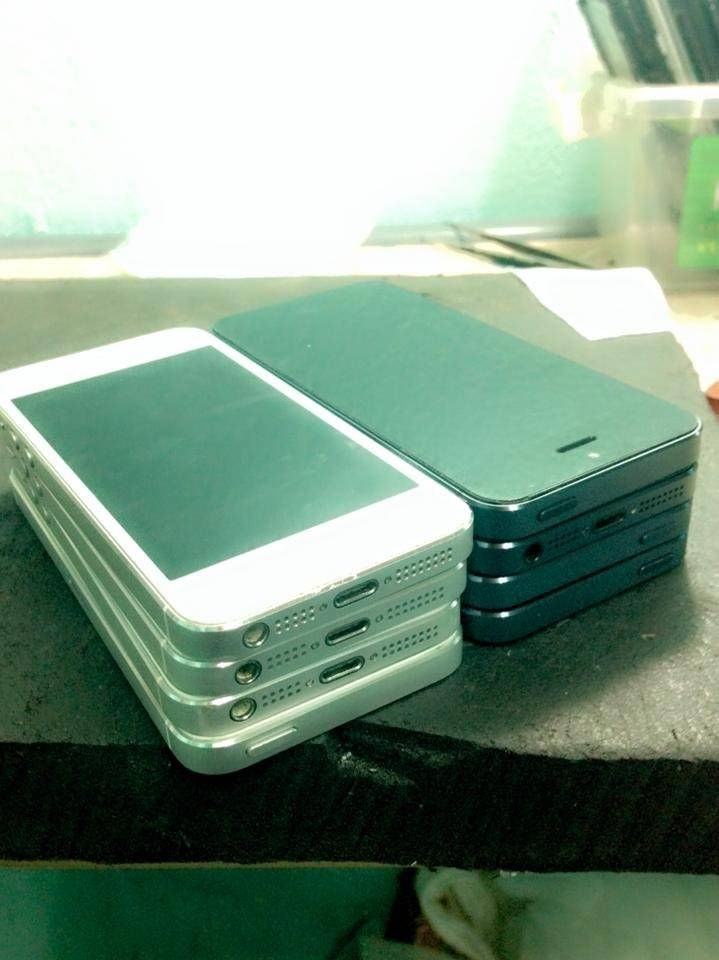 10968372_719797488117483_8949810025051580224_n_zpsh4xfvmfi.jpg
