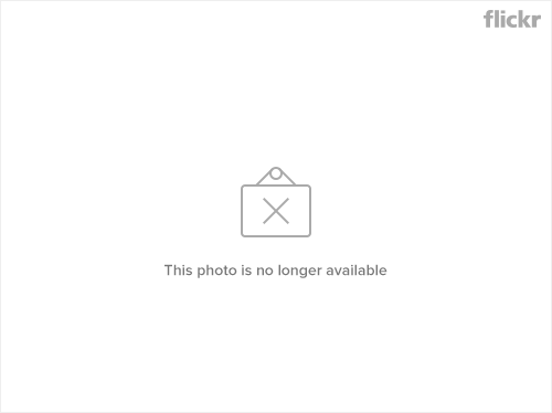 11203340934_f088d7a91d_o.png