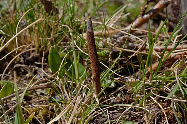 120720kpdongtrung01_7c10d.jpg