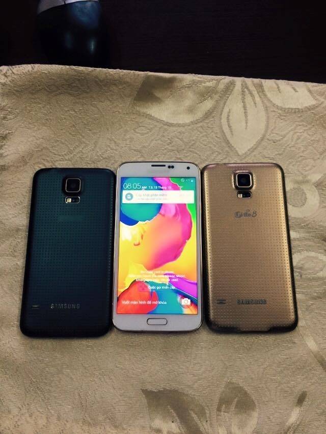 12226990_513994085429551_8872153447473730968_n_zpsiekfubs6.jpg