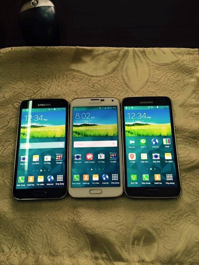 12241213_513994065429553_7028380330659761959_n_zpsmzfnizc9.jpg