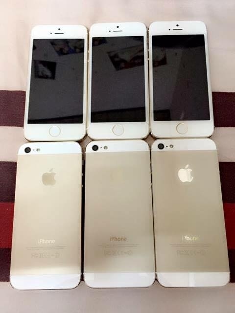 12243117_1650010578599841_7996194682535168762_n.jpg
