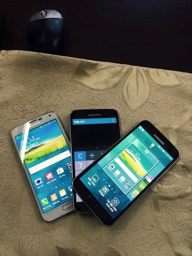 12243432_513994025429557_2978968702920731578_n_zpsh4ze6qcs.jpg