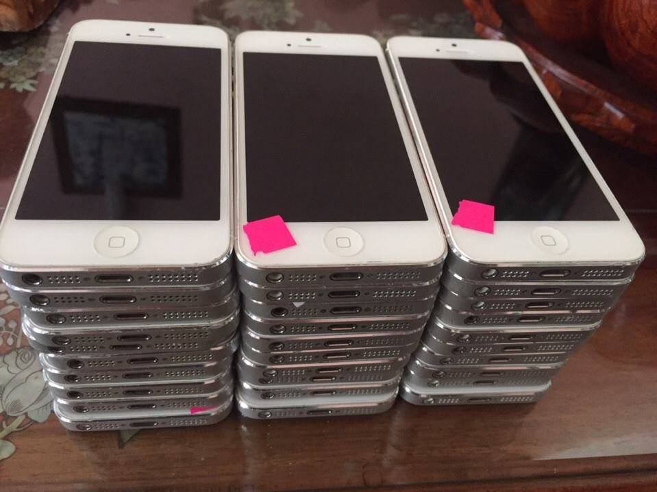 12278838_854704717982723_6994359020851650777_n_zpsxtpp4keb.jpg