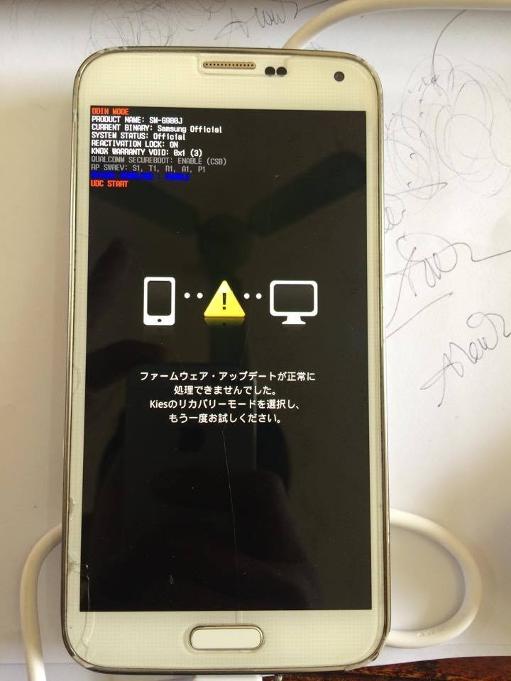 12648041_1055628457829789_887713647_n.jpg