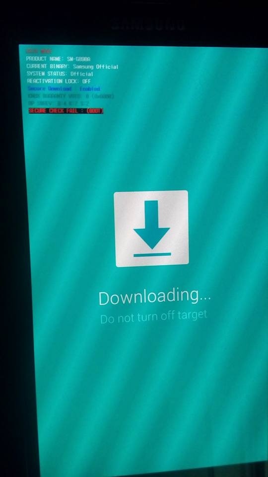 14671246_1605625566400277_6241226440671629270_n.jpg
