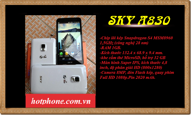 201406035019_a830.png