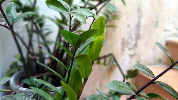 20140802_142229.jpg