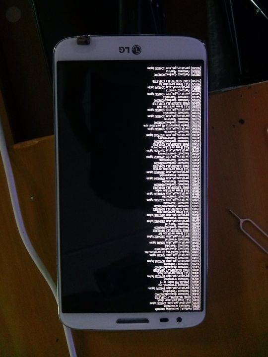 3078711694_984622603_574_574.jpg