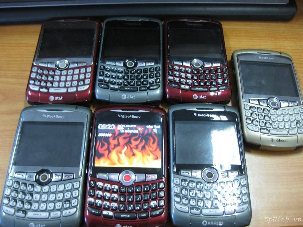 455518.jpg