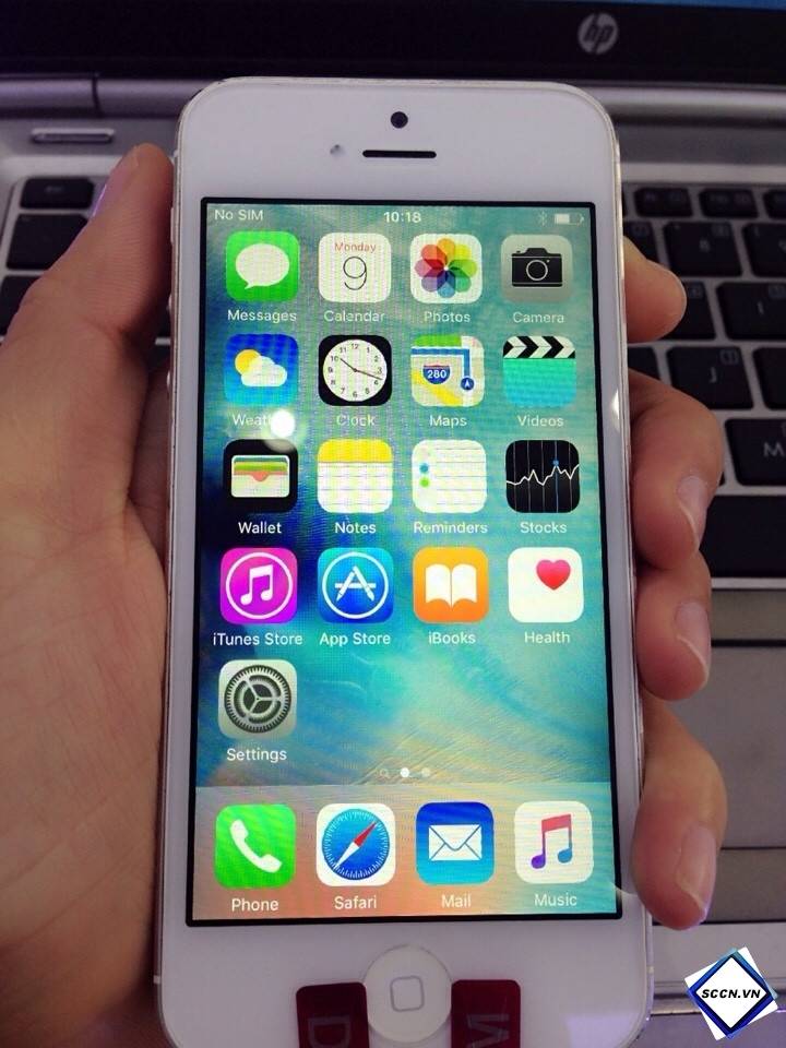 564010f47b0fc.jpg