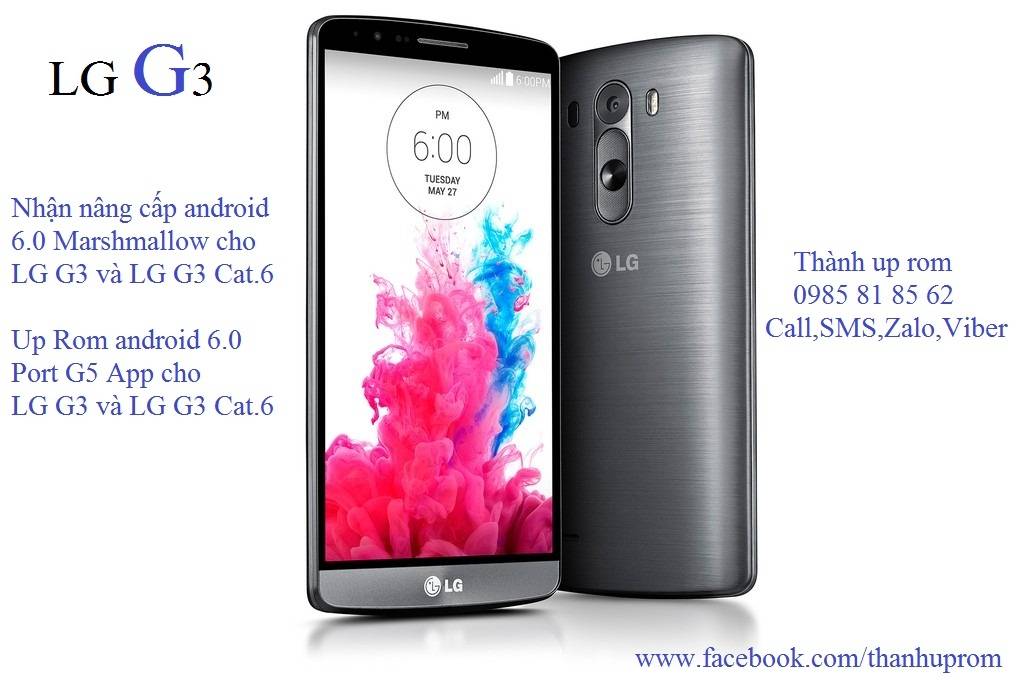 6994459_d4e7f1eaad335944c53bd1722ea4f3c9.jpe