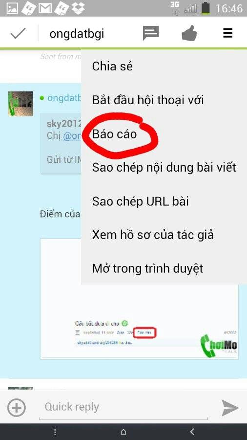 apazapy8.jpg