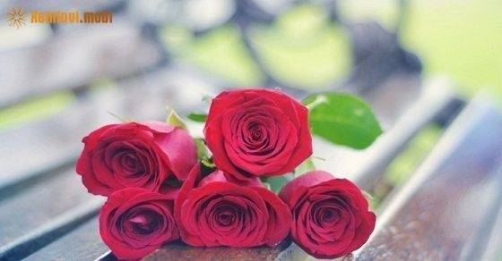 be2feafd422e0f1db9b08b66fbc830cd.jpg