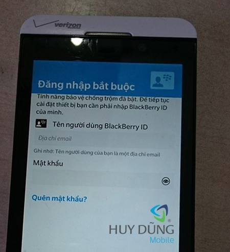 blackberry.jpg