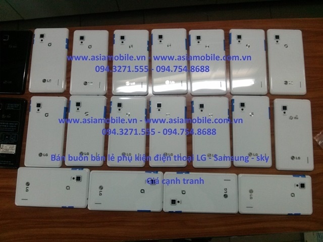 CAM00312.jpg
