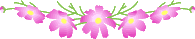 cosmosline1-4.gif