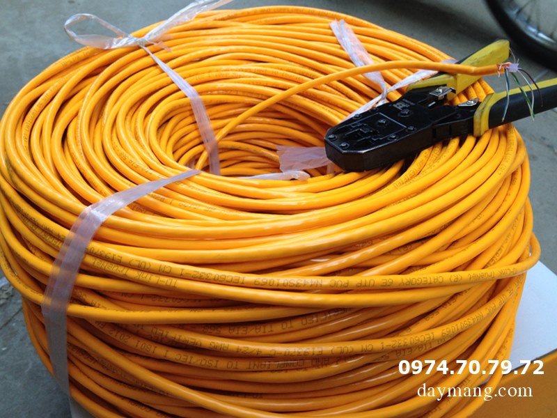day-mang-cat6e-vang-1.jpg