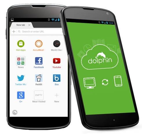 dolpin-1.jpg