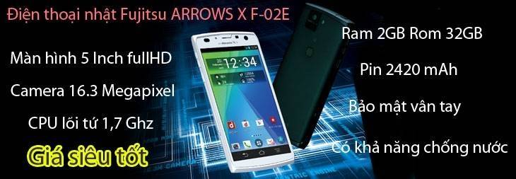 f-02e.jpg