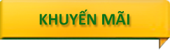 flag_pin_Khuyenmai.png