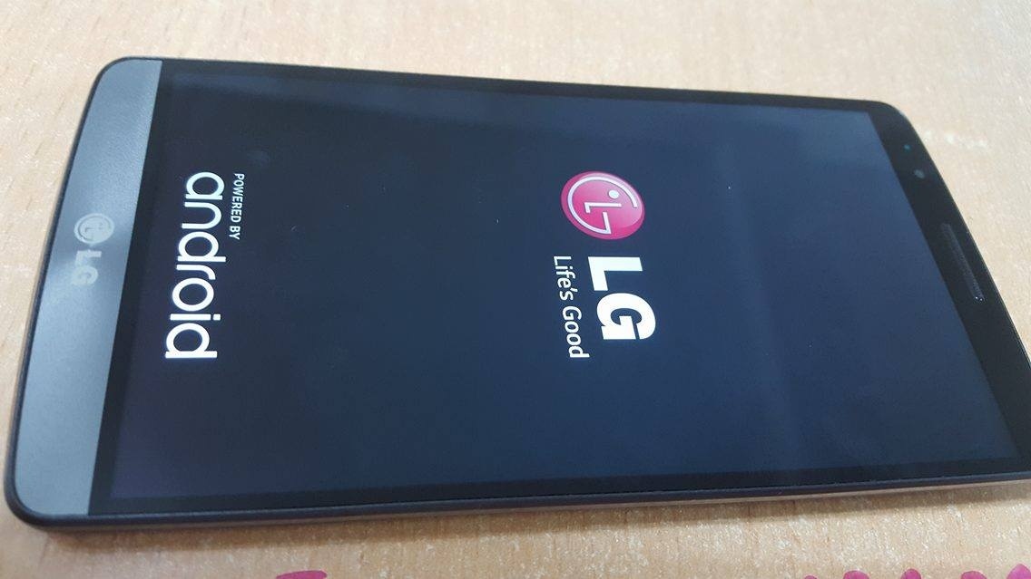 g3ggfg.jpg