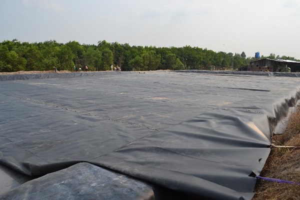 gia-mang-chong-tham-hdpe-141216.jpg