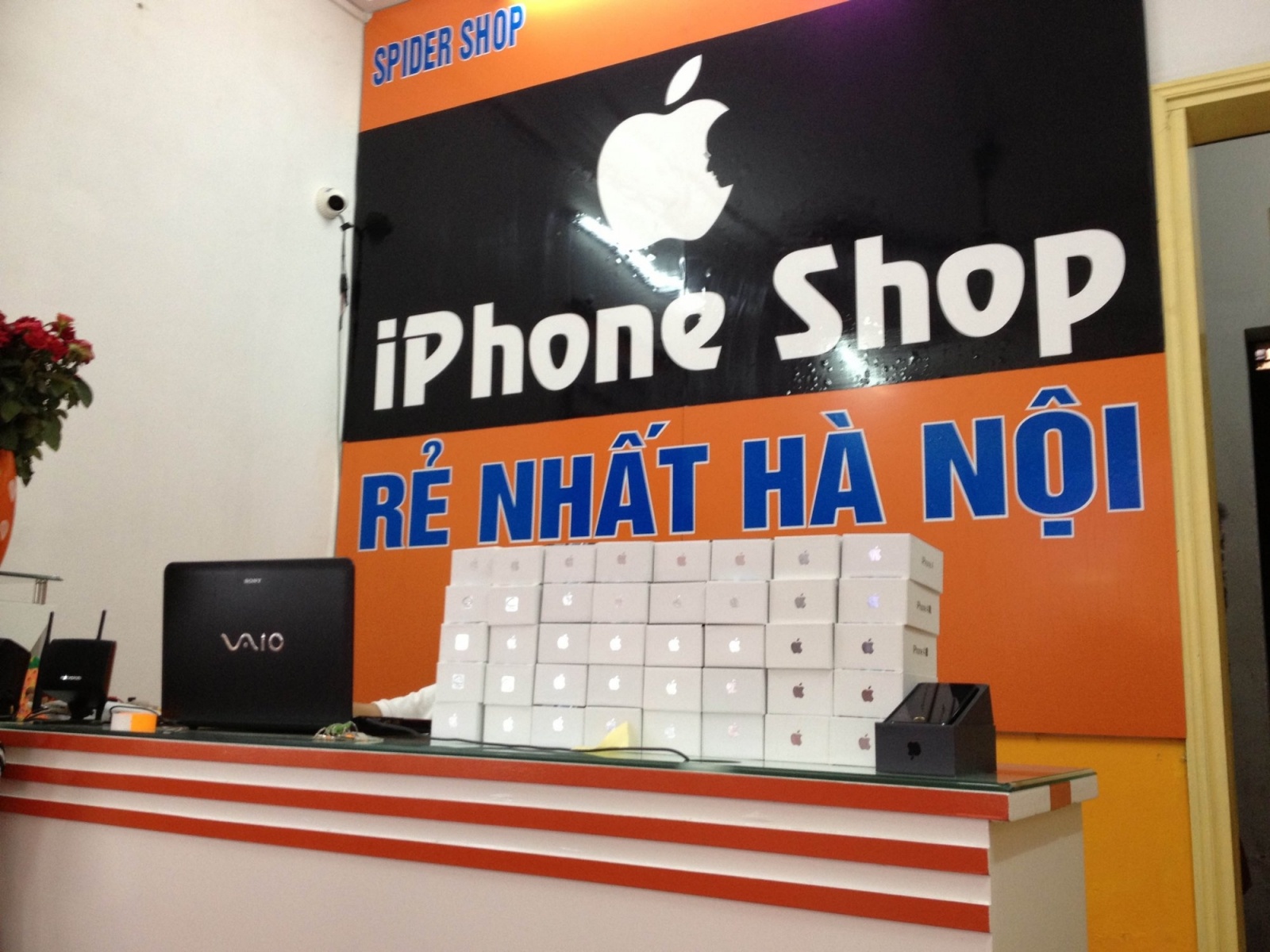 IMG_0017_23718984.jpg