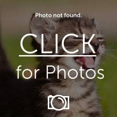 IMG_3101_zps3de4a9ba.jpg