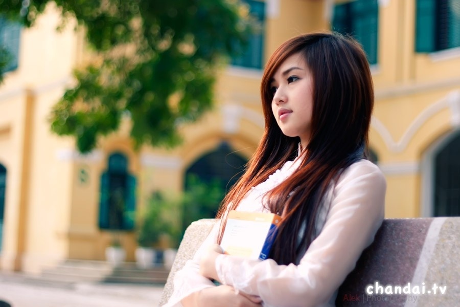 large-ae8577cf482b497ab34e4d22ca293d8b.jpg