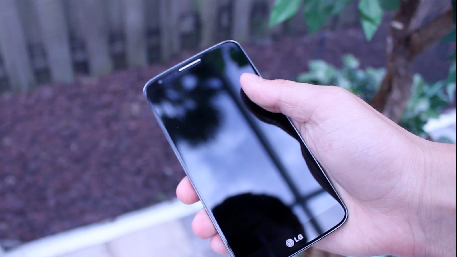LGG2-1.jpg