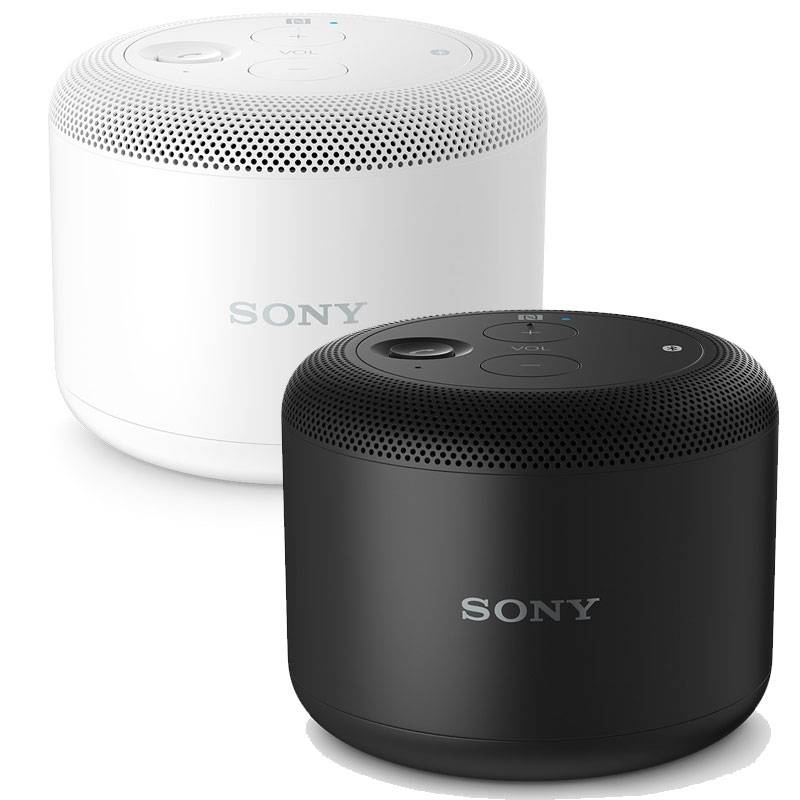 loa_sony_bsp10_zpswnskctme.jpg