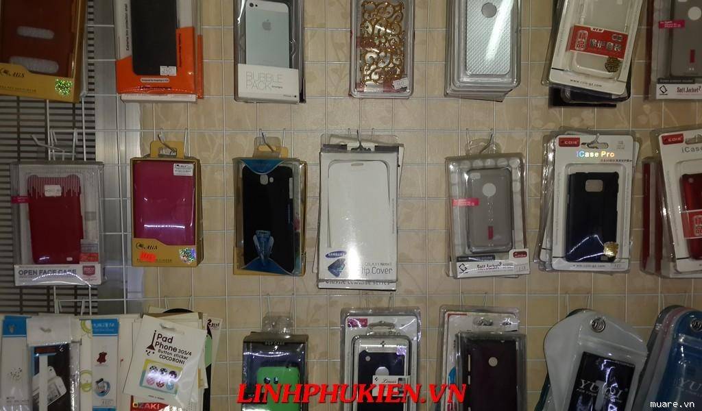 mr_377659_8ac14e6fcce356ff.jpg