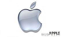 mr_427013_959d497b054e2cd2.jpg