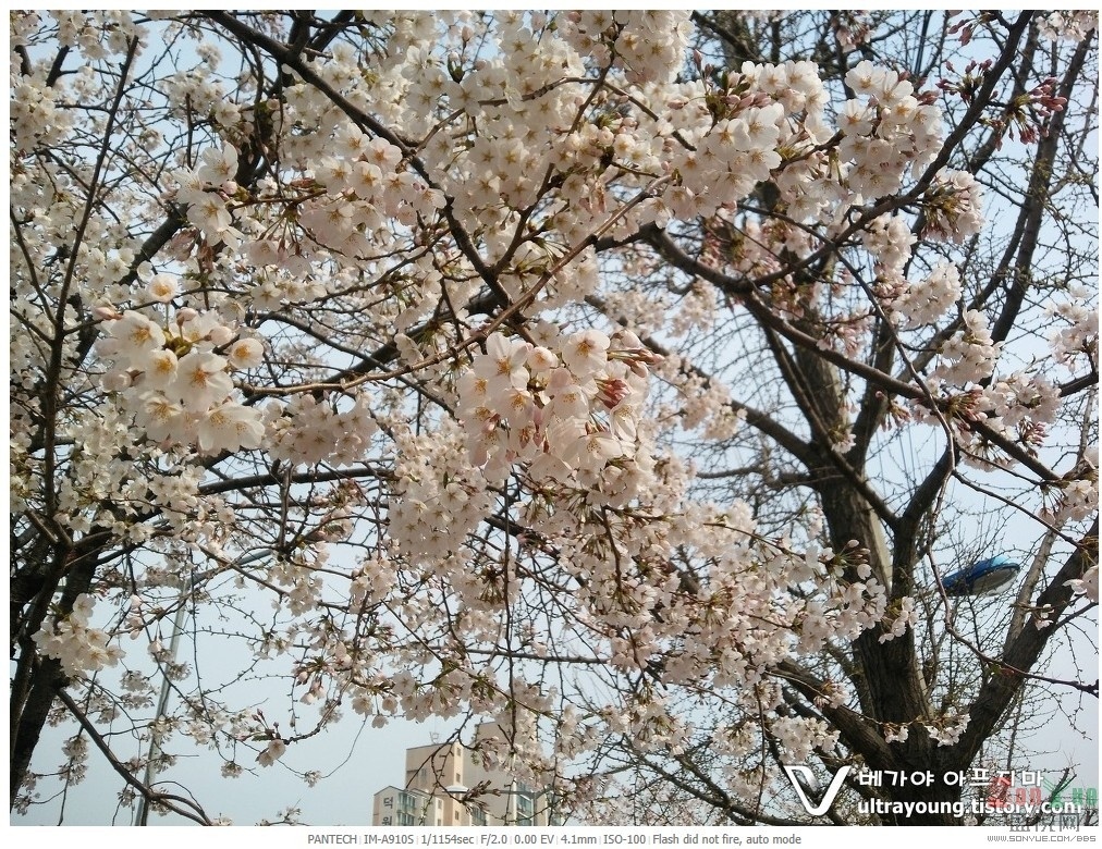 QQ图片20140409031733.jpg