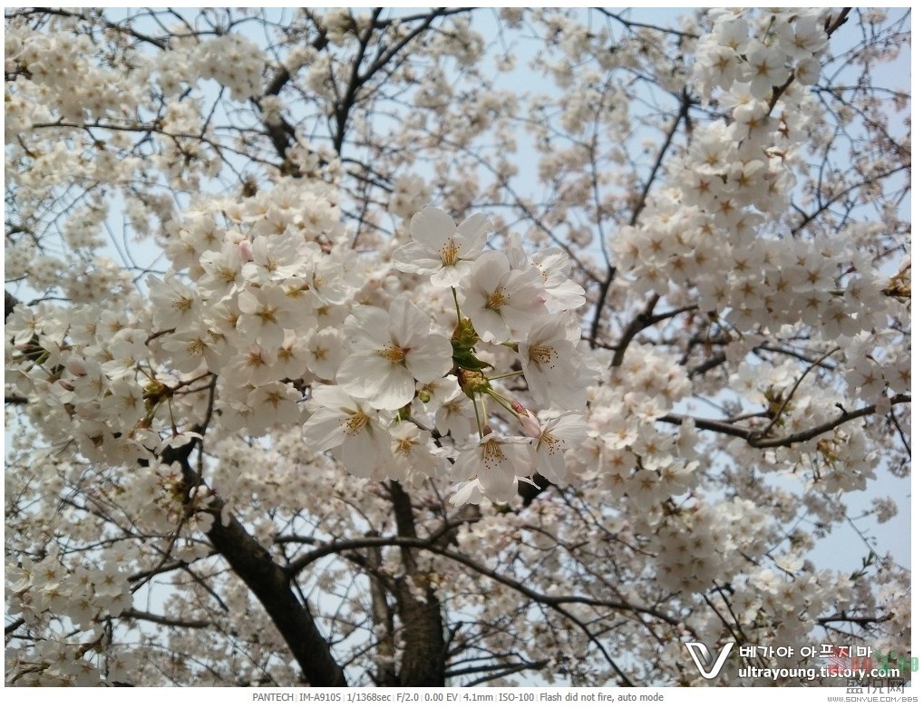 QQ图片20140409031754.jpg