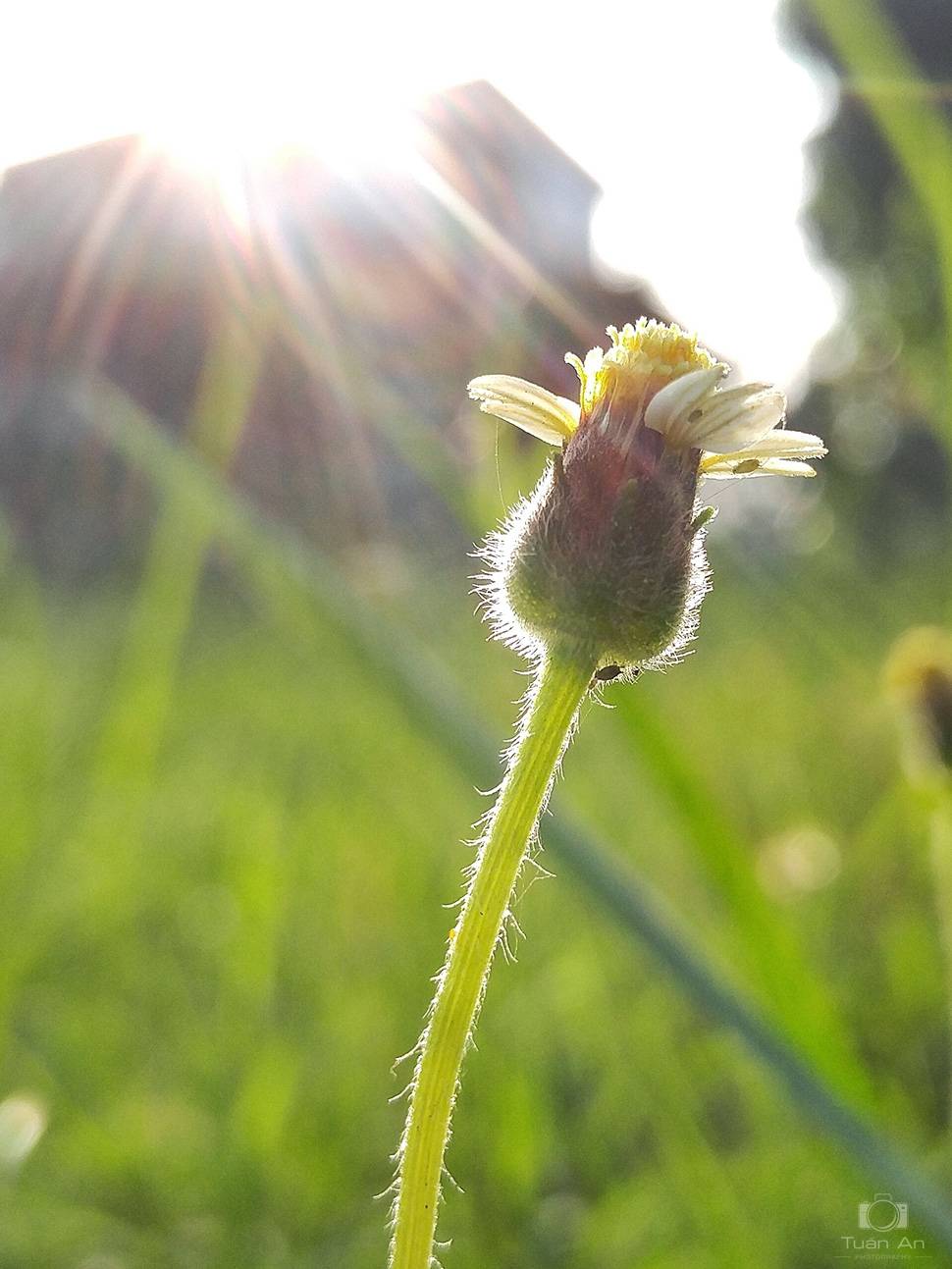 review-lgv10-camera-3.jpg