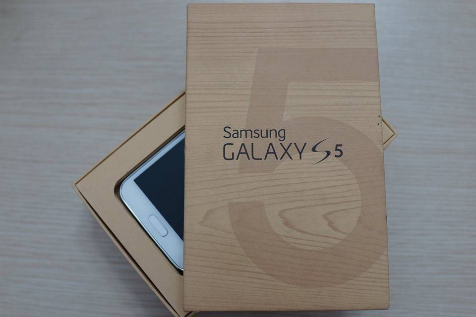 s5.jpg