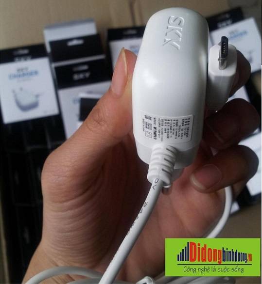 sacsky1A_zps5fa5de16.jpg