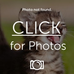 Screenshot_2013-03-30-13-02-08_zps09424eec.jpg