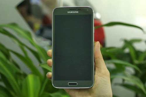 SS-10-2476-1394696400.jpg