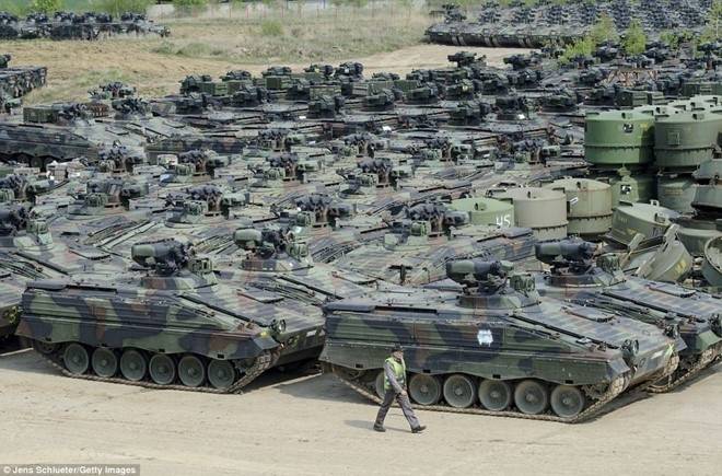 tang1b.jpg