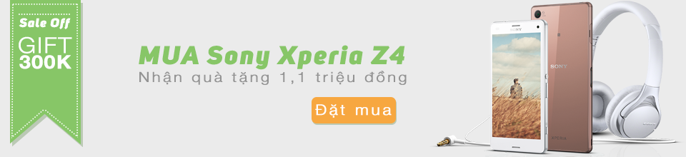 z4.png
