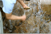 TB2odrAepXXXXb2XpXXXXXXXXXX-45179215.gif