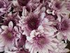 pantech-vega-secret-up-a900l-camera-1.jpg