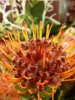 pantech-vega-secret-up-a900l-camera-5.jpg