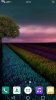 b92b41a30c976a44864d9277f851cfae.jpg