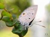 review-lgv10-camera-5.jpg
