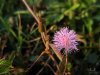 review-lgv10-camera-4.jpg